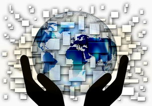 九游游戏-中国篮球教练员战术创新与应用案例分析，篮球教练基本战术